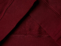 Sweat com capuz ©Harvard University - ucb_image_DS1