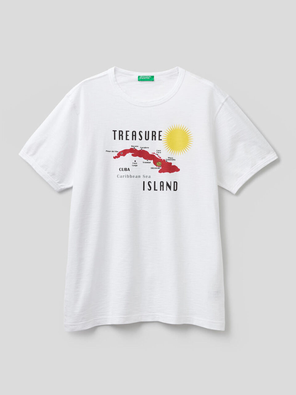 Pure cotton t-shirt with print image number 1