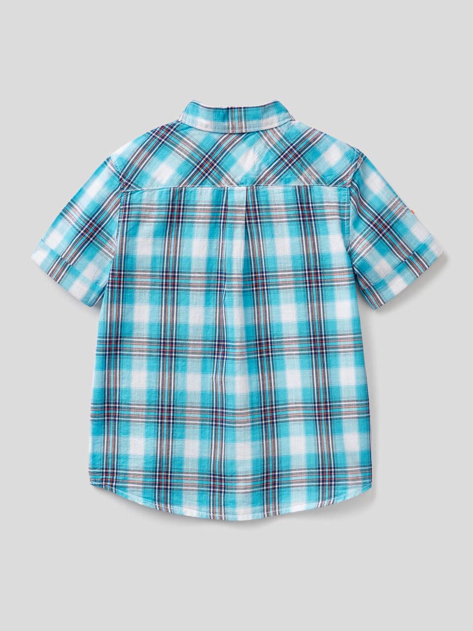 Check shirt with short sleeves image number 2