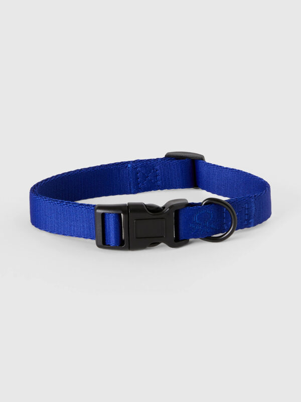 Cornflower blue collar for dogs