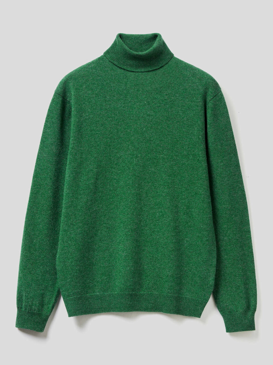 Turtleneck in pure virgin wool image number 1