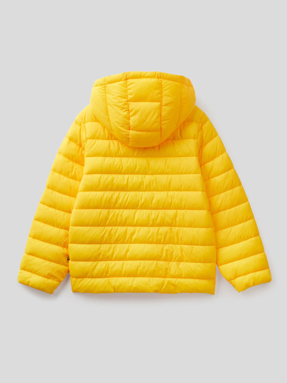 Jacket with hood in technical fabric image number 2