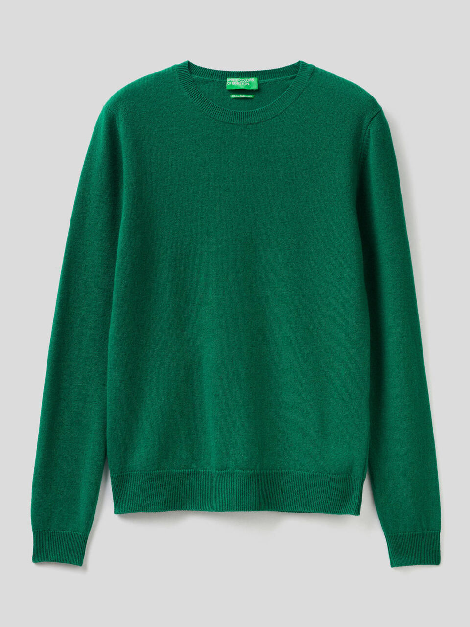 Crew neck sweater in pure virgin wool image number 1