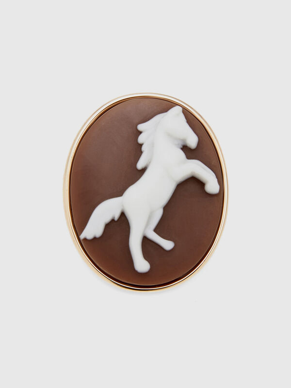 Brown cameo brooch Women