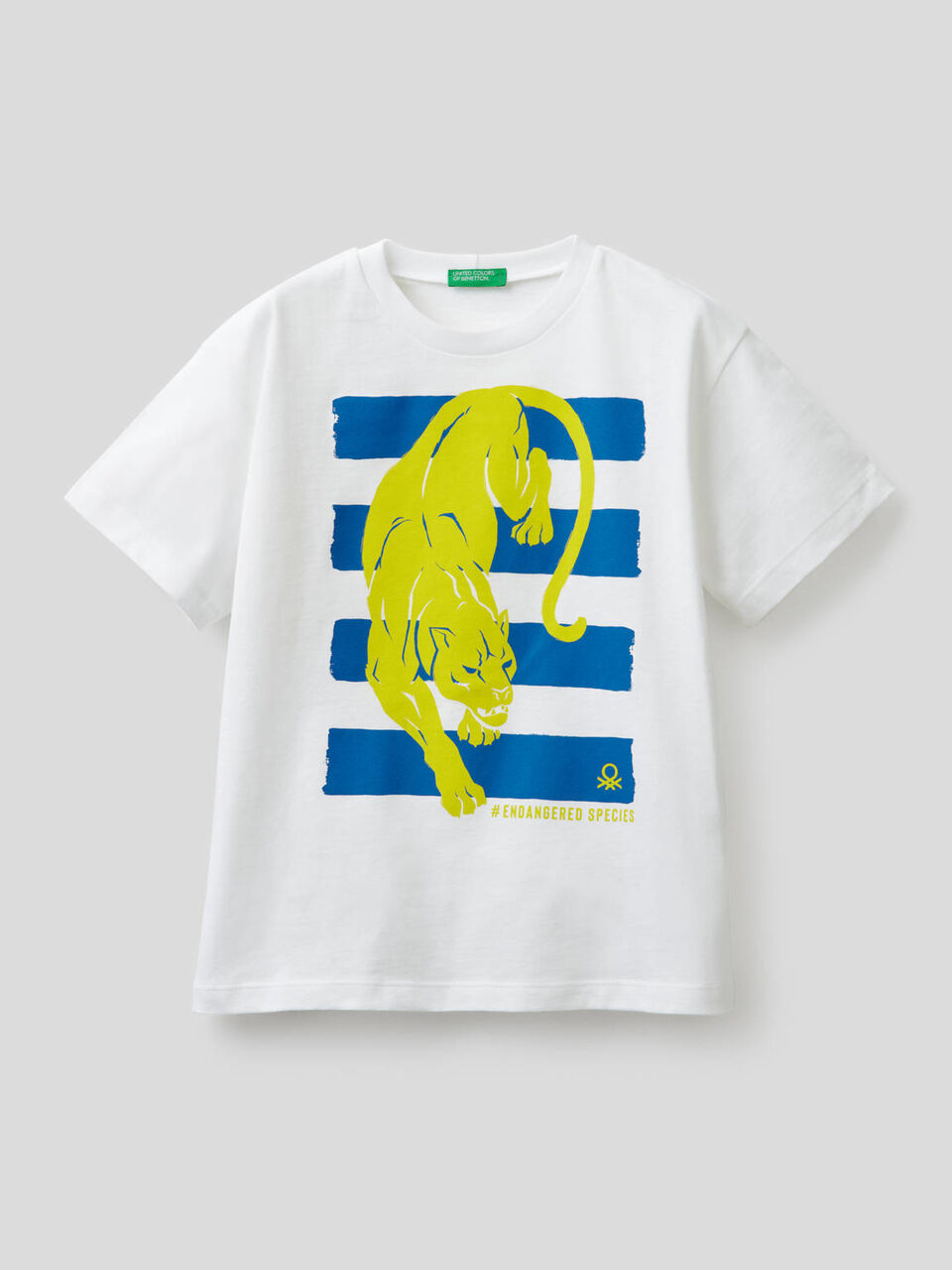 Pure cotton t-shirt with print image number 1